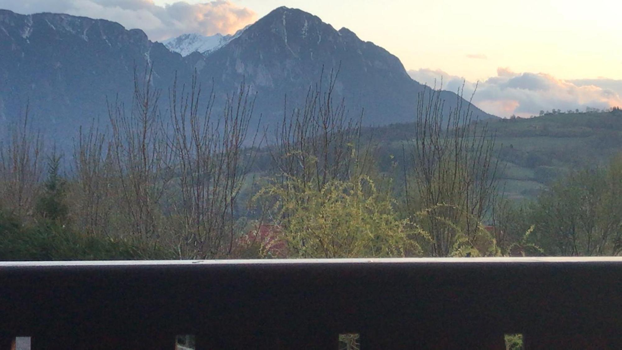 Pension Chalet Poiana Marului Ranch المظهر الخارجي الصورة